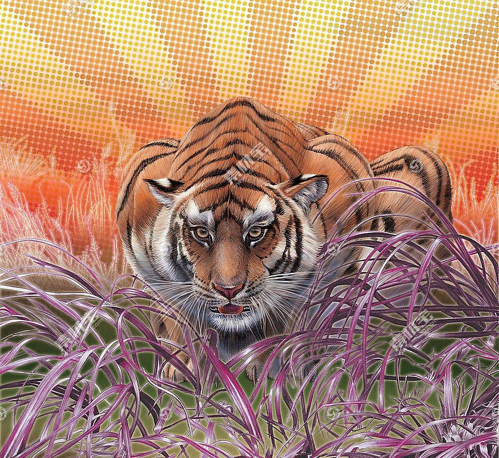 虎 动物 数字艺术 性质高清壁纸图片下载 图片id 动物植物 高清壁纸 素材宝scbao Com