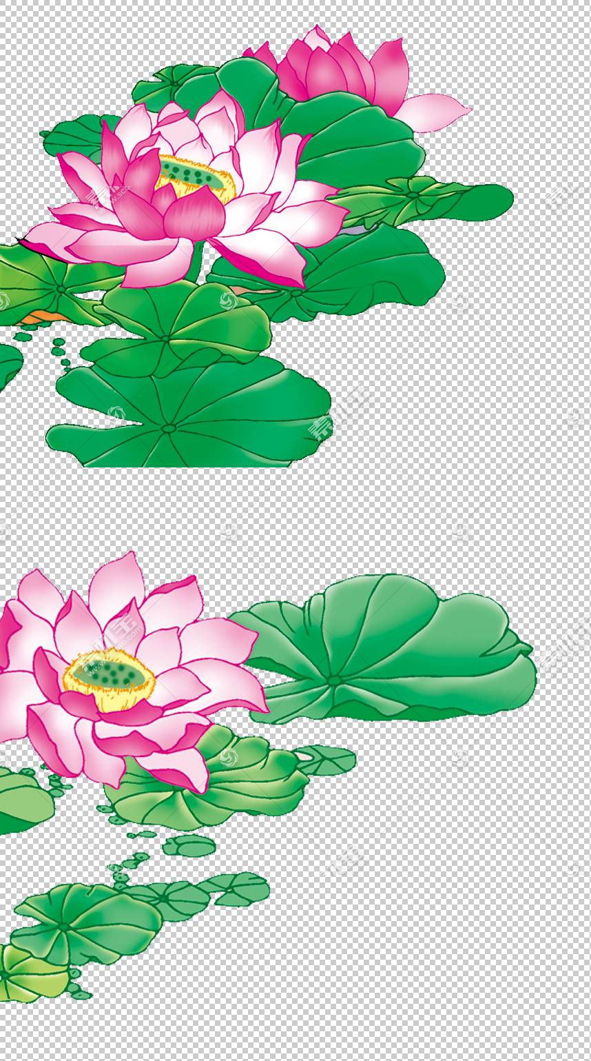设计师 Lotus的png剪贴画草本植物 插花 栽培 叶 植物茎 花 池塘 免抠素材下载 图片id 免抠花卉 免抠素材 淘图网