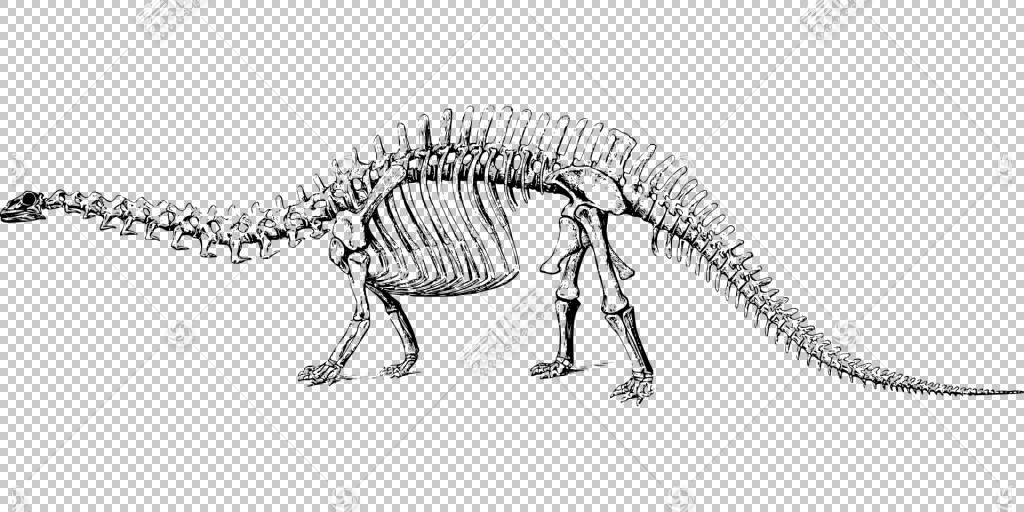 雷龙雷龙霸龙龙恐龙 恐龙骨头png剪贴画单色 动物群 骨骼 陆地动模板下载 素材id 动物素材 设计素材 第一素材网