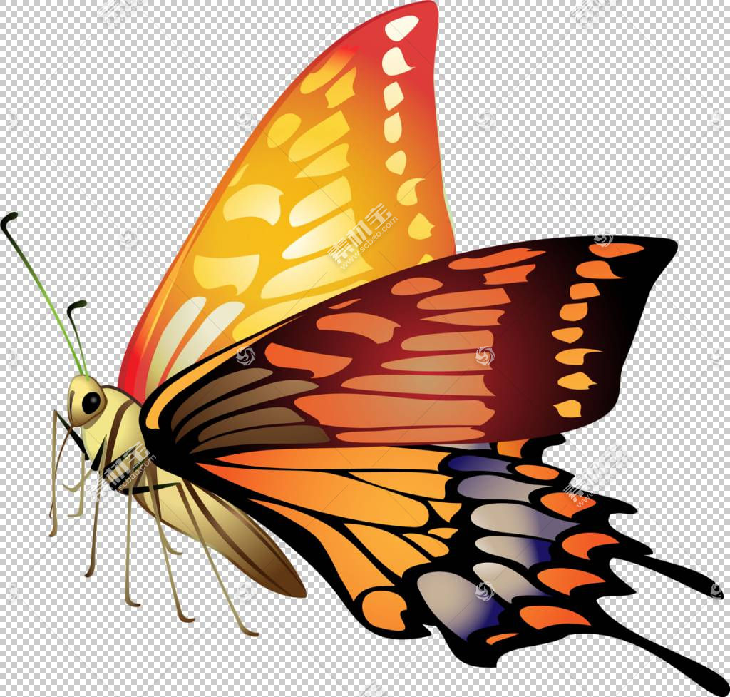 蝴蝶素材蝴蝶png剪贴画刷有脚蝴蝶,演示文稿,昆虫,动物,蝴蝶,授粉图片