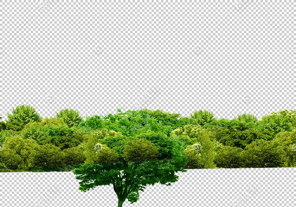 绿草背景 草 景观 绿色 天空 叶 植物 计算机 灌木 植被 林地 森免抠素材下载 图片id 其它元素 免抠素材 淘图网taopic Com