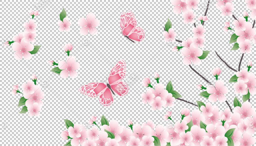 春花,樱花,花卉设计,分支,植物群,传粉者,花瓣,植物,蝴蝶,粉红色