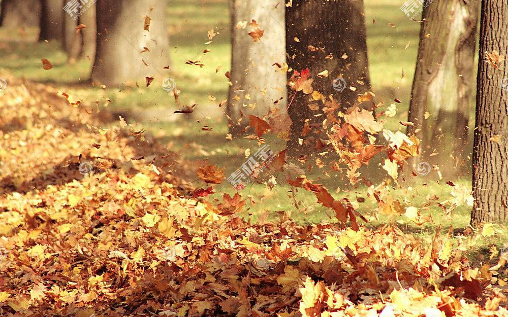 地球 秋天 季节 自然 叶子 壁纸 10 高清壁纸图片下载 图片id 风景壁纸 高清壁纸 素材宝scbao Com