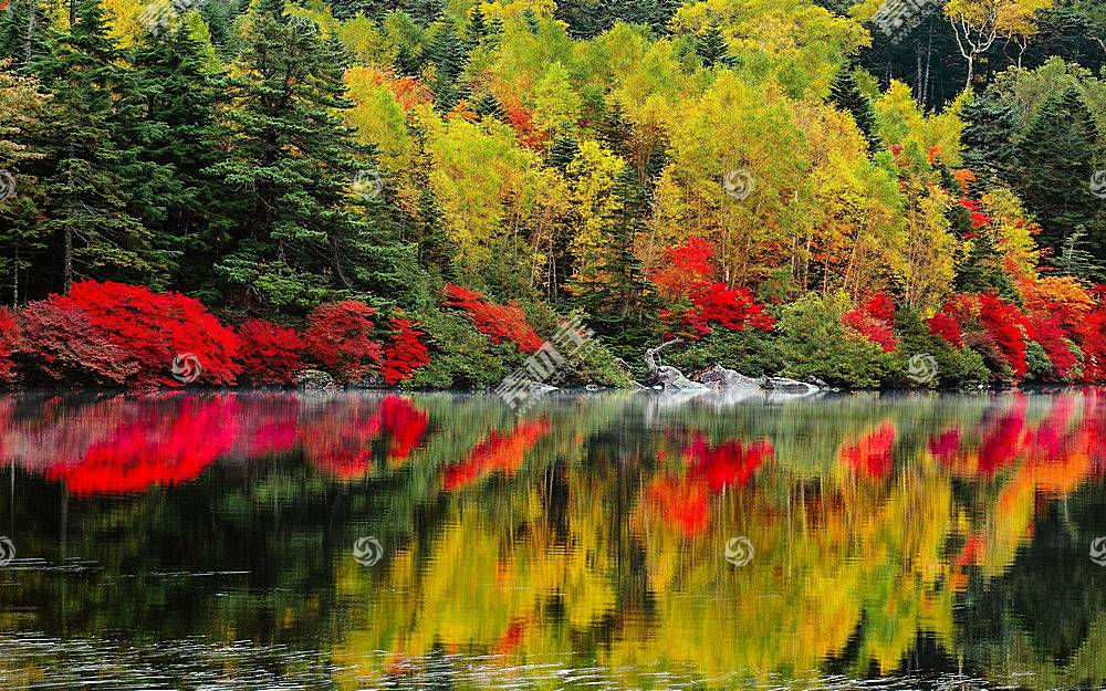 地球 反射 秋天 季节 自然 叶子 湖 水 风景优美的 壁纸 高清壁纸图片下载 图片id 风景壁纸 高清壁纸 素材宝scbao Com