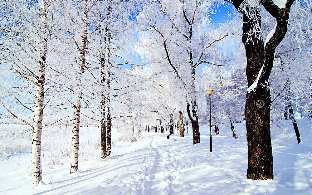 地球 冬天的 壁纸 300 图片素材 图片id 风景壁纸 高清壁纸 淘图网taopic Com