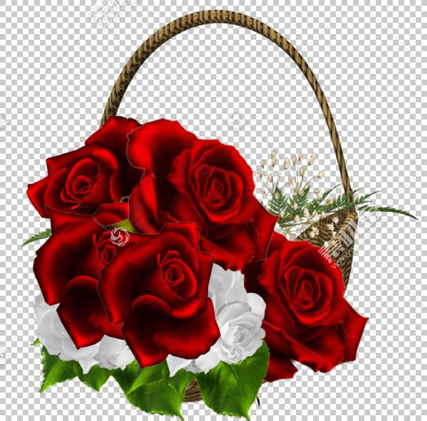 La Fleur Rouge Amazon.com鱦װ,ĺõ͸ӻͼƬ