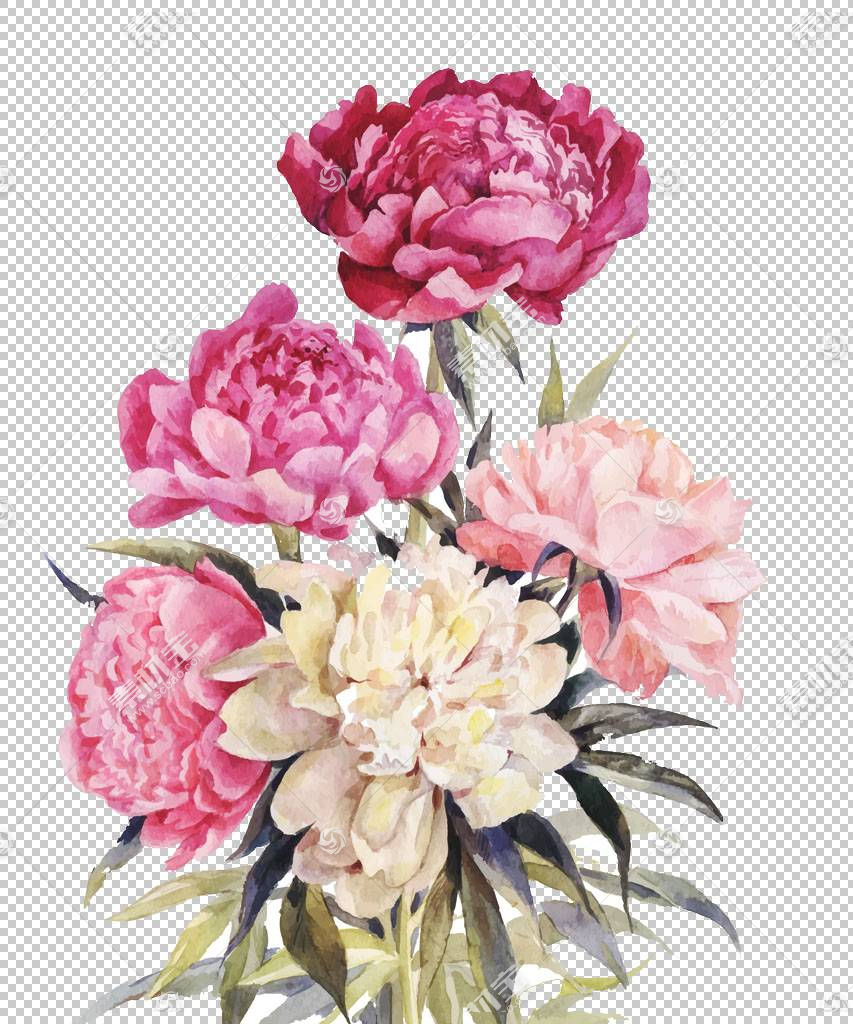 牡丹花束 粉红色和红色的花朵 粉红色和白色花卉画png剪贴画水彩免抠素材下载 图片id 免抠花卉 Png素材 素材宝