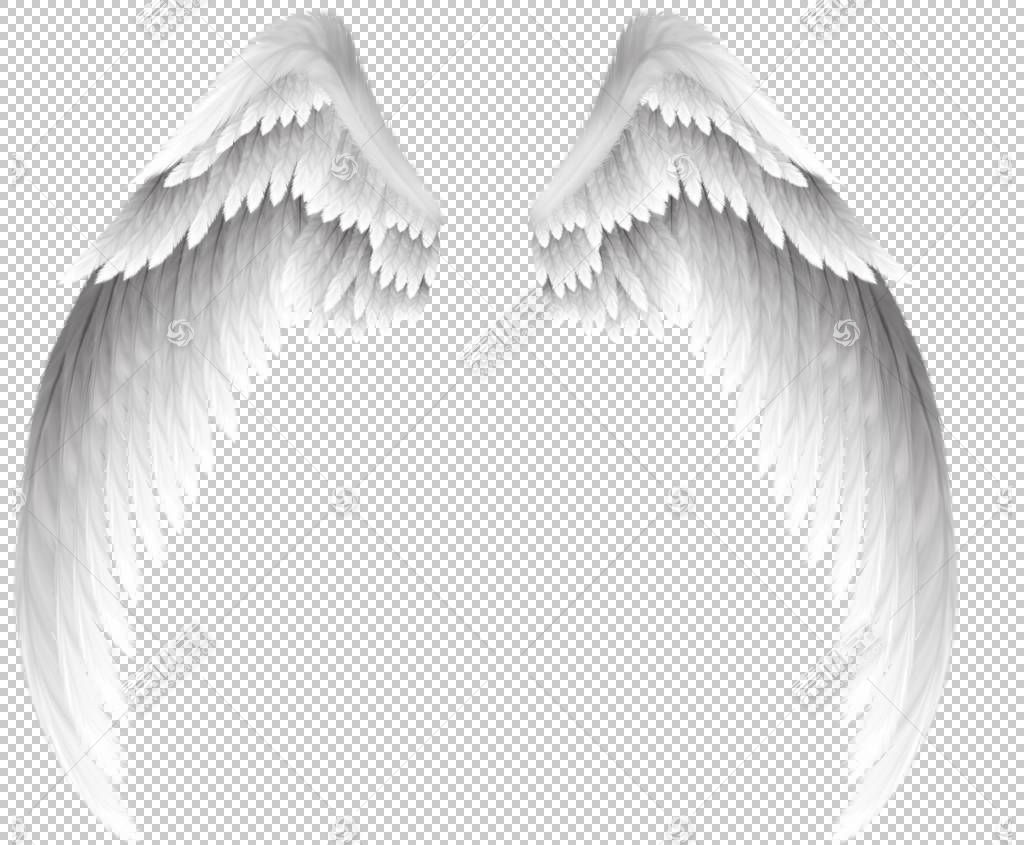 天使 漂亮的白色天使翅膀 天使的翅膀png剪贴画白色 文字 摄影 黑免抠素材下载 图片id 其它元素 Png素材 素材宝scbao Com