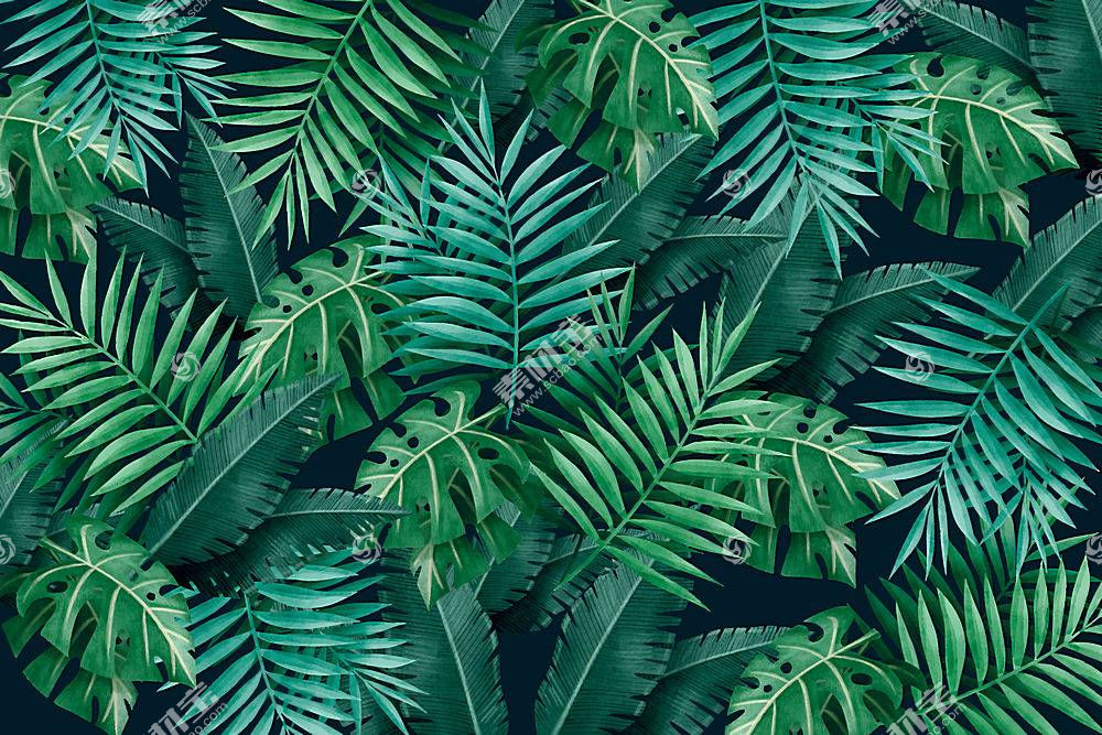 深色与热带植物叶子装饰背景素材矢量图片 图片id 花草树木 生物世界 矢量素材 素材宝scbao Com