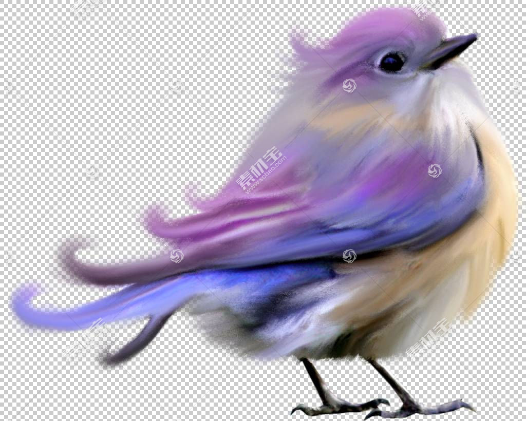 Lovebird蜂鸟 孔雀png Clipart紫色 动物 颜色 动物群 猫头鹰 鸟 免抠素材下载 图片id 其它元素 Png素材 素材宝scbao Com