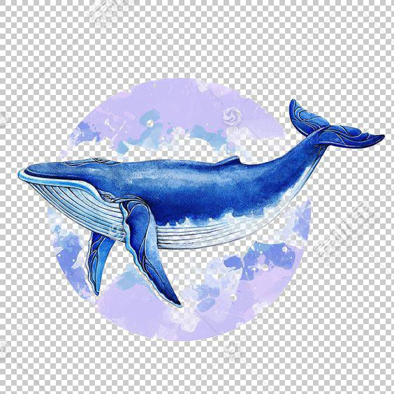 鲸鱼卡通 电蓝 钴蓝 蓝色 鲸类 绘图 海 海豚 水彩画 鲸鱼 蓝鲸 免抠素材下载 图片id 其它元素 Png素材 素材宝scbao Com