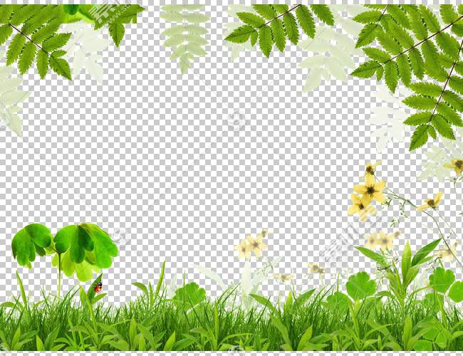 自然背景框 草 分支 花 草坪 树 自然 草甸 植物群 植物 黄色 相免抠素材下载 图片id 其它元素 Png素材 素材宝scbao Com