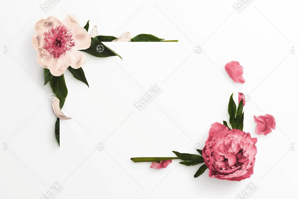 CreativeMarket_Floral_Peonies_Collection__20__OFF__230352812ͼƬ