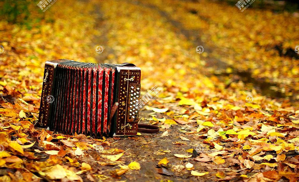 音乐 手风琴 秋天 季节 自然 叶子 情绪 壁纸 高清壁纸图片下载 图片id 其它壁纸 高清壁纸 素材宝scbao Com