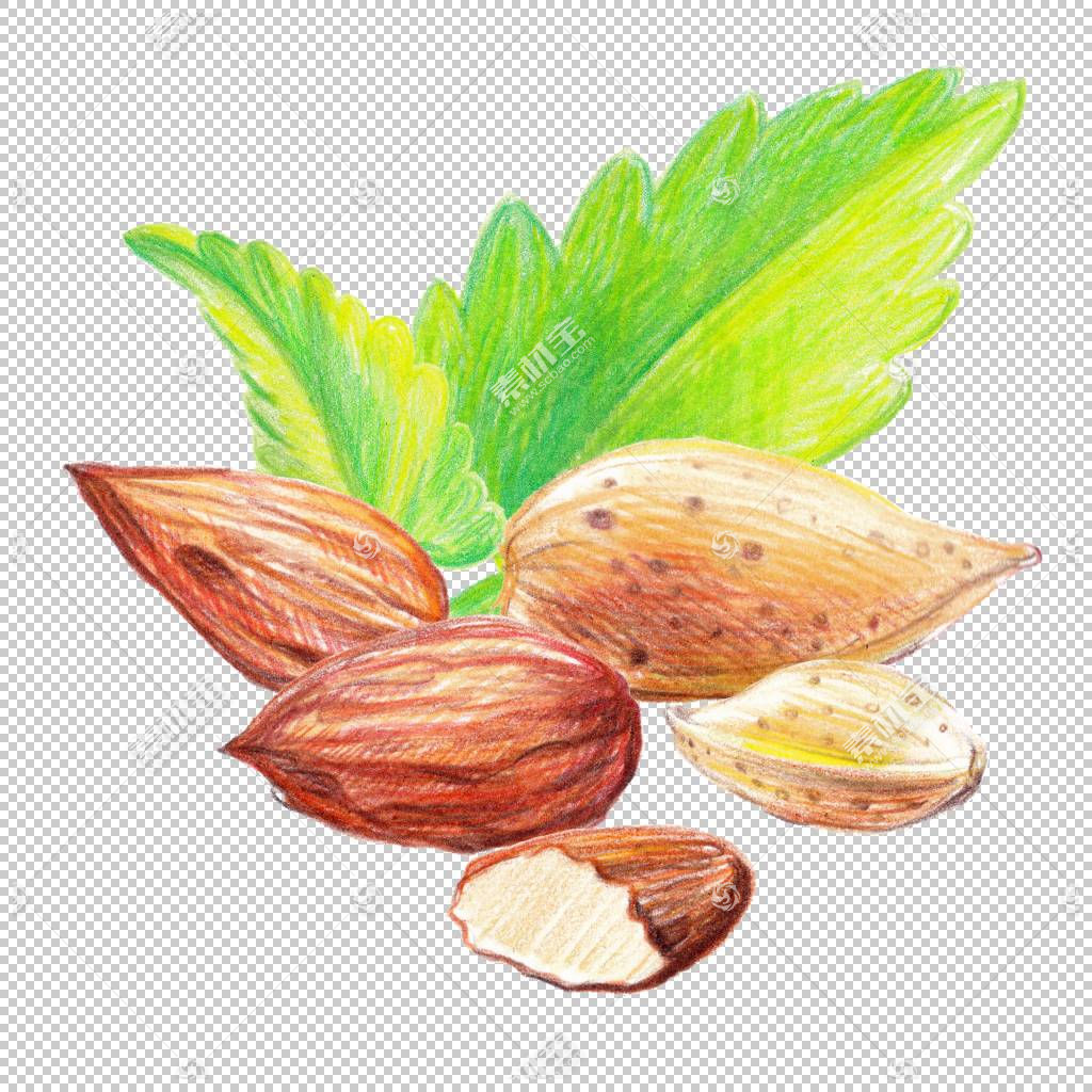 Dry_Fruits_and_Nuts_Big_Set_225685401ͼƬ