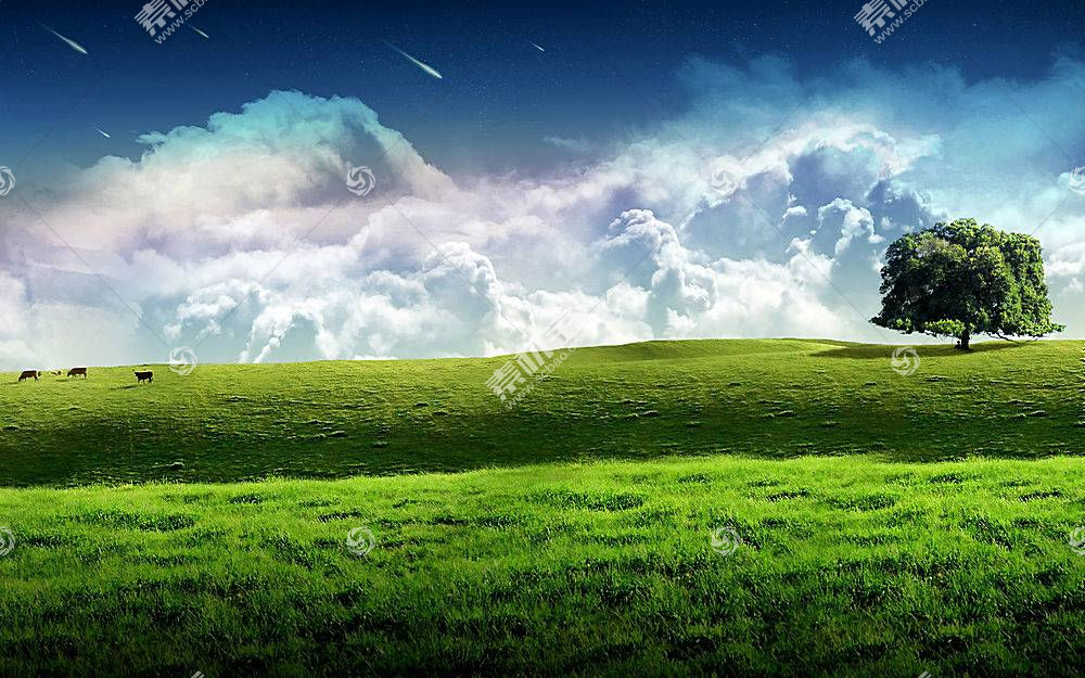地球 A 轻柔的 世界 树 寂寞的 树 风景 领域 云 草 壁纸 图片下载 图片id 其他风光 图片素材 蓝图网lanimg Com