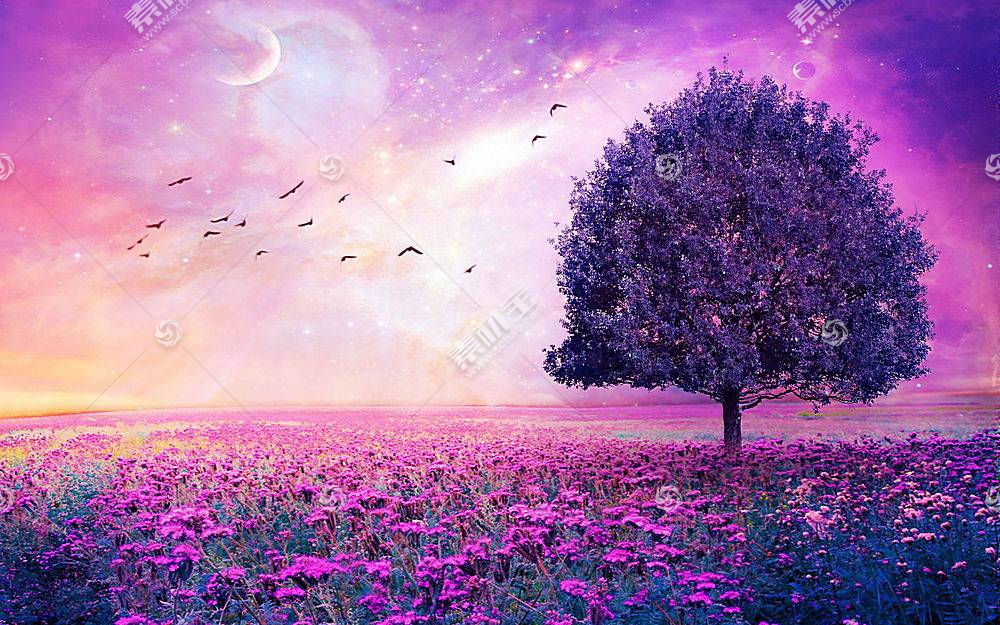 地球 A 轻柔的 世界 自然 树 寂寞的 树 领域 花 紫色 花 壁纸 高清壁纸图片下载 图片id 风景壁纸 高清壁纸 素材宝scbao Com