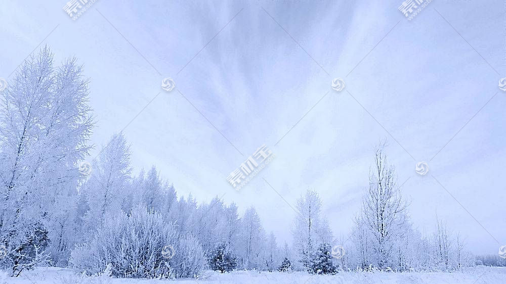 地球 冬天的 雪 白色 风景 自然 树 壁纸 图片素材 图片id 风景壁纸 高清壁纸 淘图网taopic Com