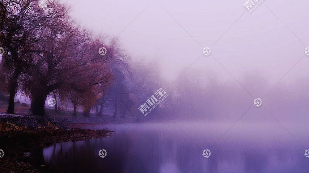 雾 湖 树 紫色 壁纸 高清壁纸图片下载 图片id 风景壁纸 高清壁纸 素材宝scbao Com
