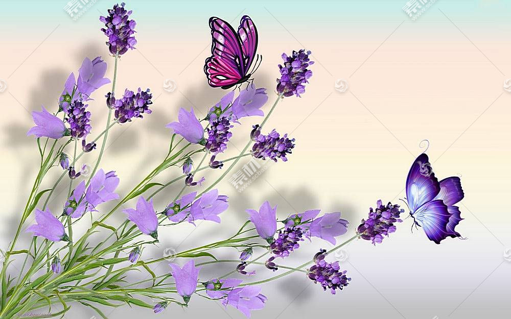 花 蝴蝶 紫色 壁纸 图片素材 图片id 其它壁纸 高清壁纸 淘图网taopic Com