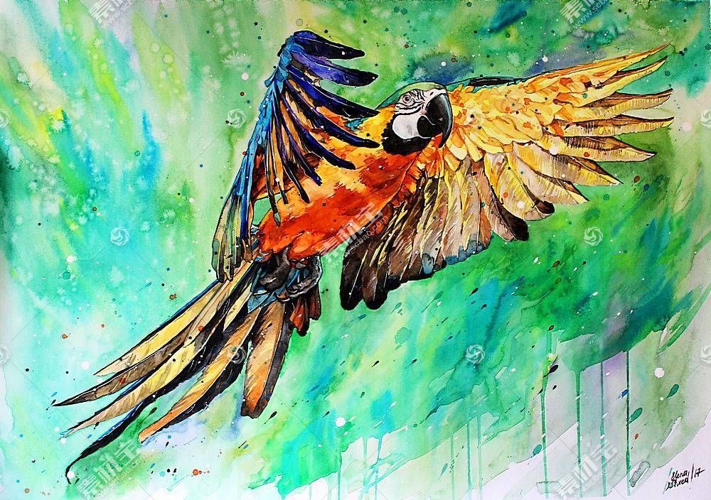 水彩画 绘画 金刚鹦鹉 鸟 野生动植物 富有色彩的 壁纸 高清壁纸图片下载 图片id 其它壁纸 高清壁纸 素材宝scbao Com