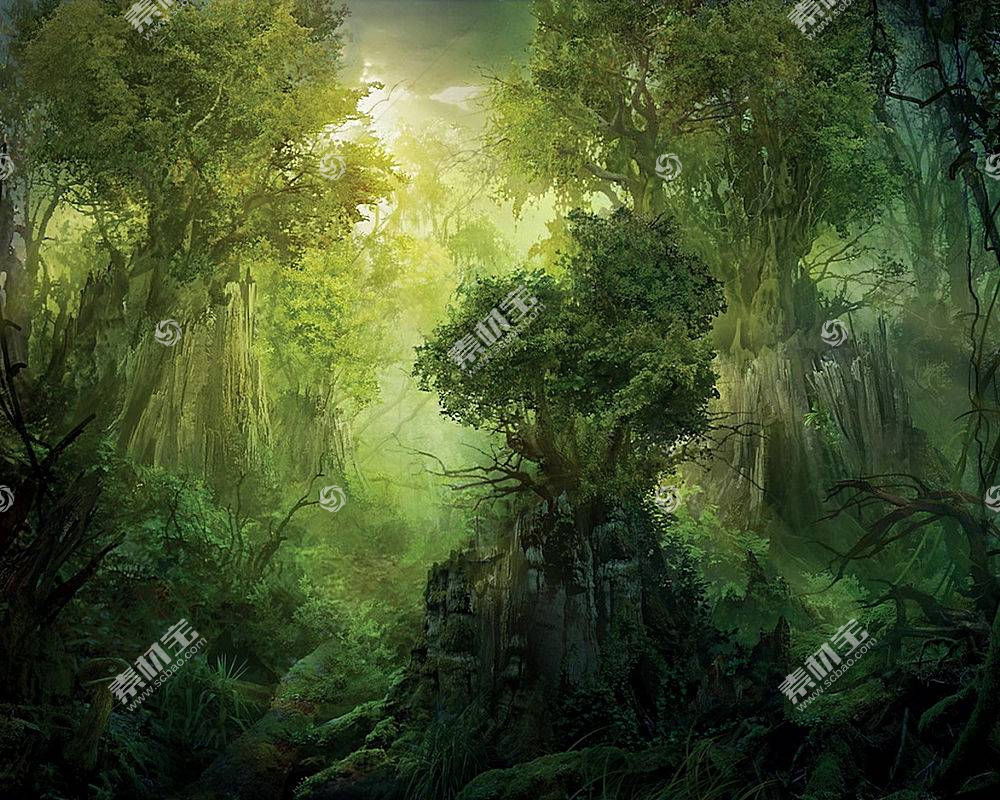 幻想 森林 风景 自然 壁纸 高清壁纸图片下载 图片id 其它壁纸 高清壁纸 素材宝scbao Com