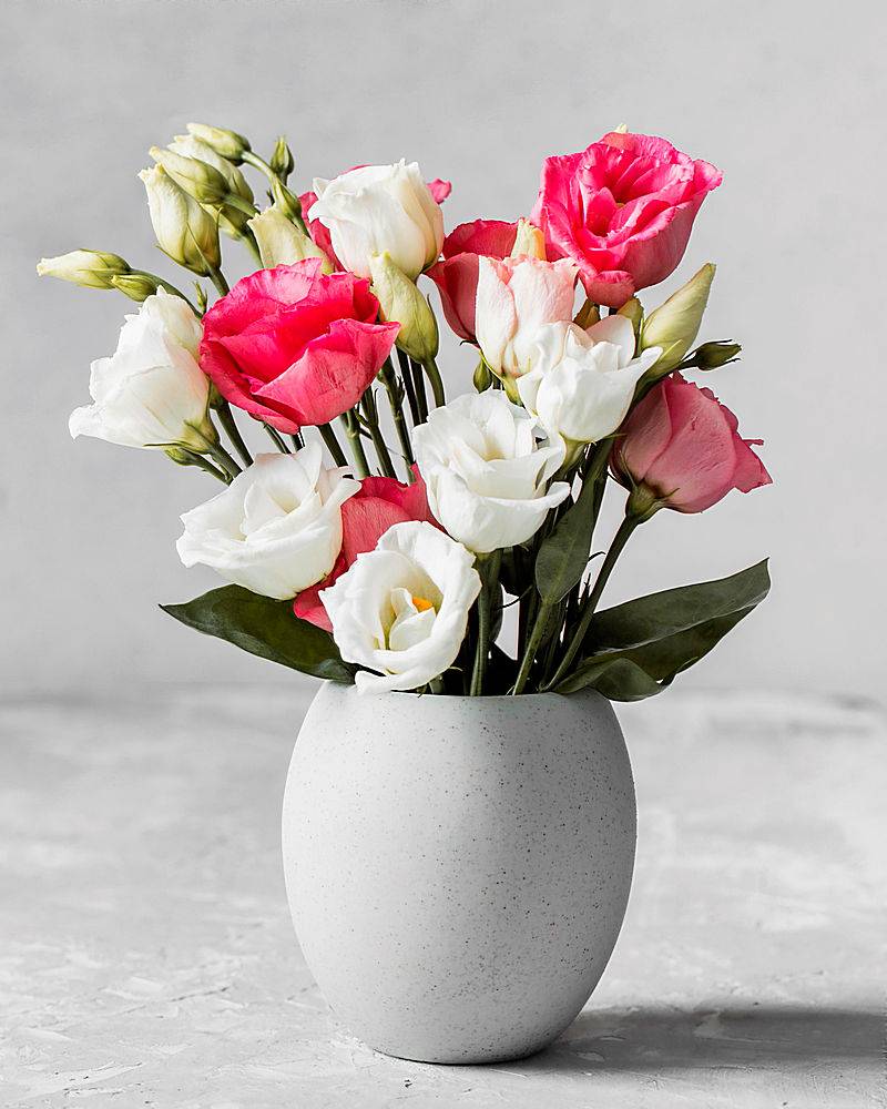 白色花瓶里的一束玫瑰花 图片素材 图片id 其他类别 生活百科 图片素材 淘图网taopic Com