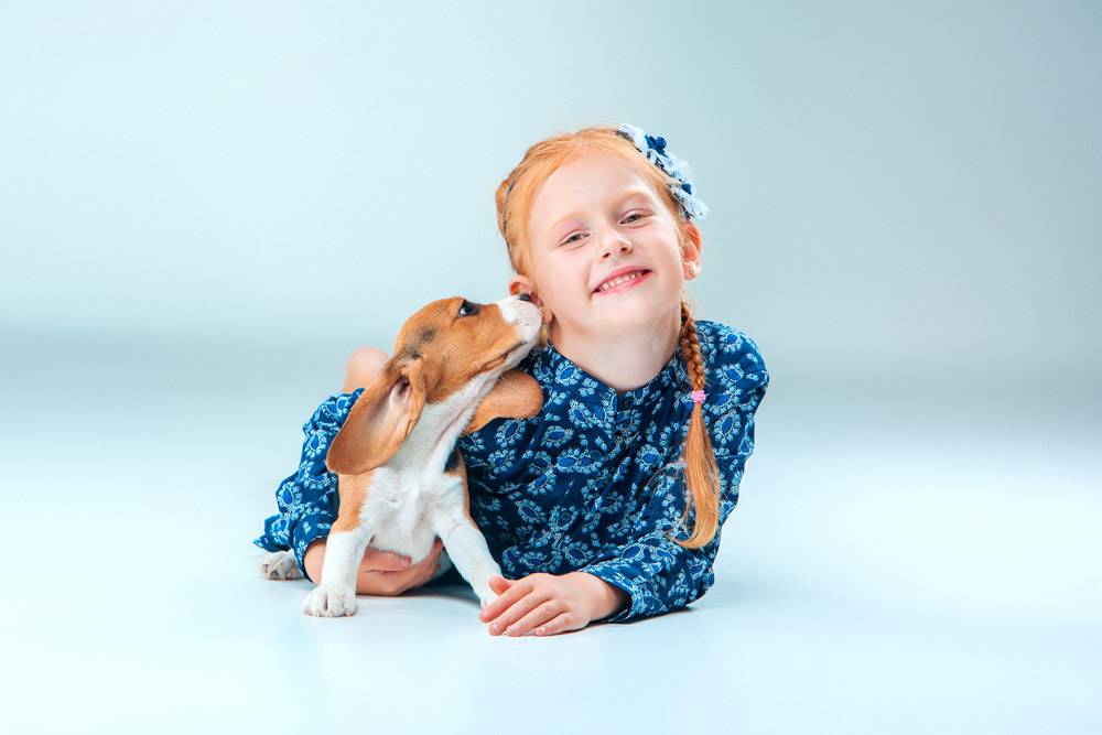 快乐的女孩和一只小猎犬_8413438