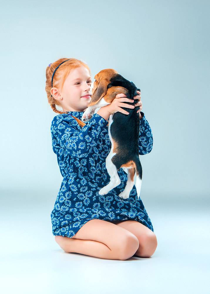快乐的女孩和一只小猎犬_8413450