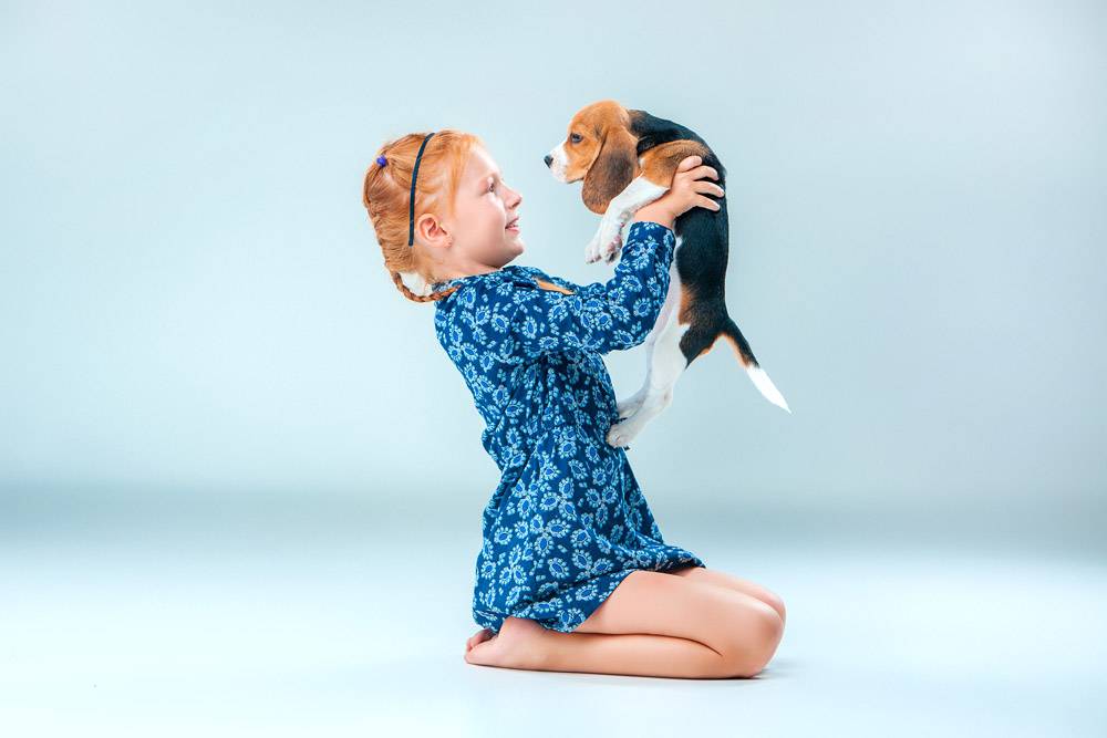 灰墙上快乐的女孩和一只小猎犬_7540146