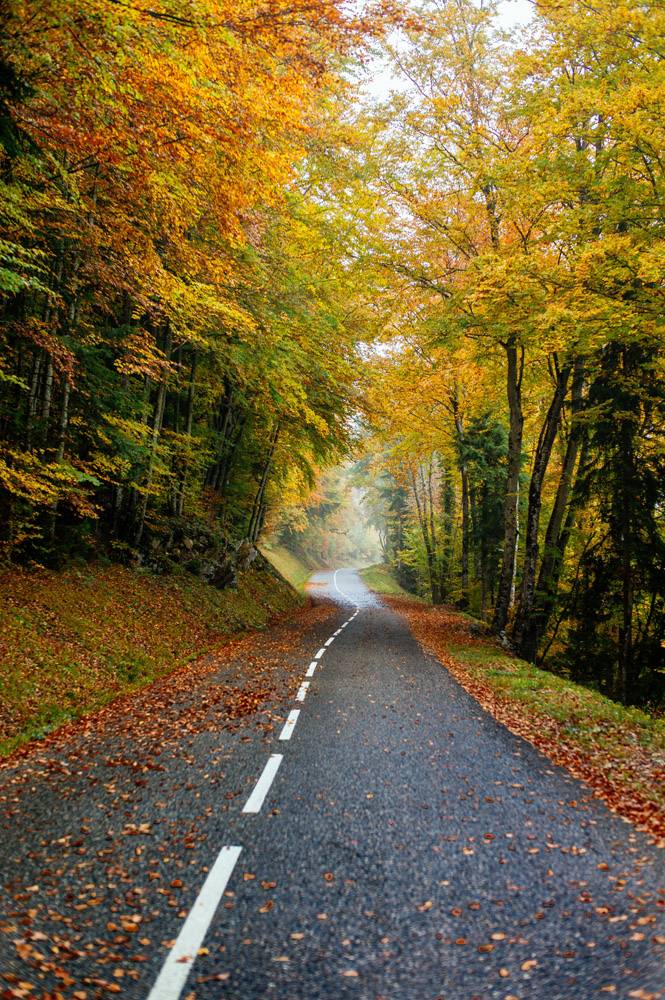 一条路的美好的风景在有很多五颜六色的秋天